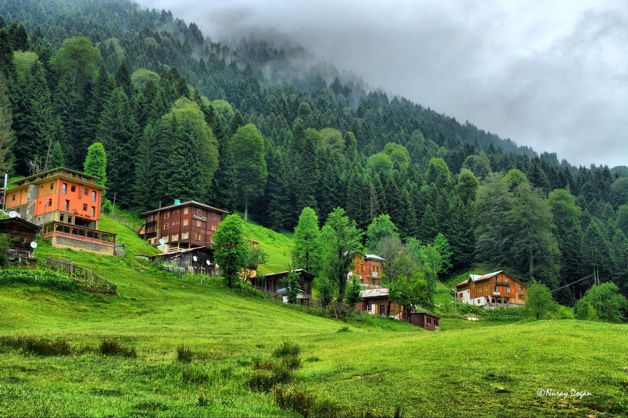 Karadeniz Yayla Turları